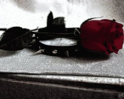 gothic-rose-with-the-collar.jpg