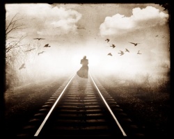 the-railway-to-nowhere.jpg