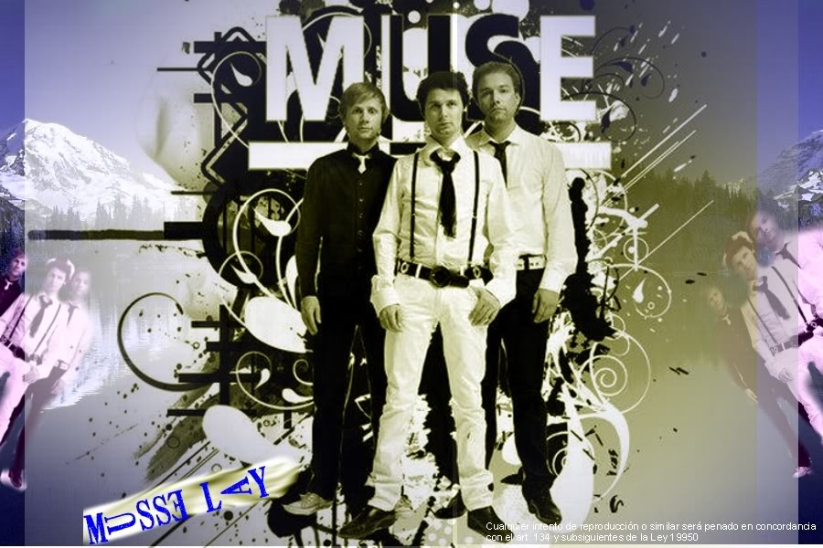 muse_wallmusse.jpg