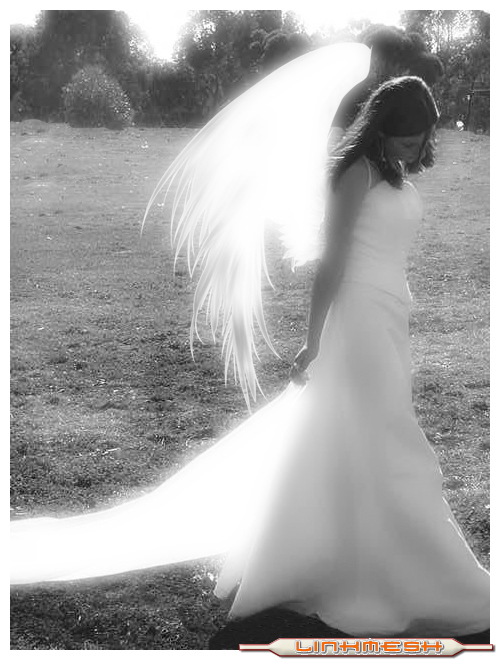 angel_novia.jpg