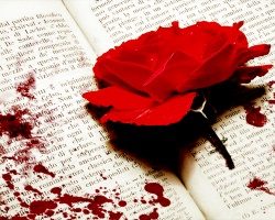 bleeding-rose-on-a-book.jpg