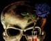gothic-rose-with-vampire-skull.jpg