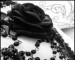 black-rose-with-the-rosary.jpg